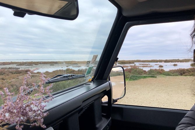 4x4 Camargue Safari 4h - Departure from Arles - Why a 4x4 is useful in the Camargue