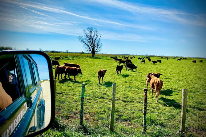 4x4 Camargue Safari 4h - Departure from Arles - Who should book this safari?