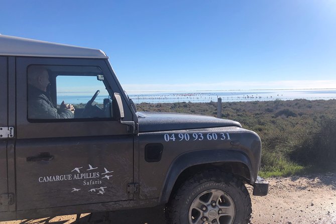 4x4 Camargue Safari 4h - Private Tour - Departure from Arles - Thirty minutes in Saintes Maries de la Mer