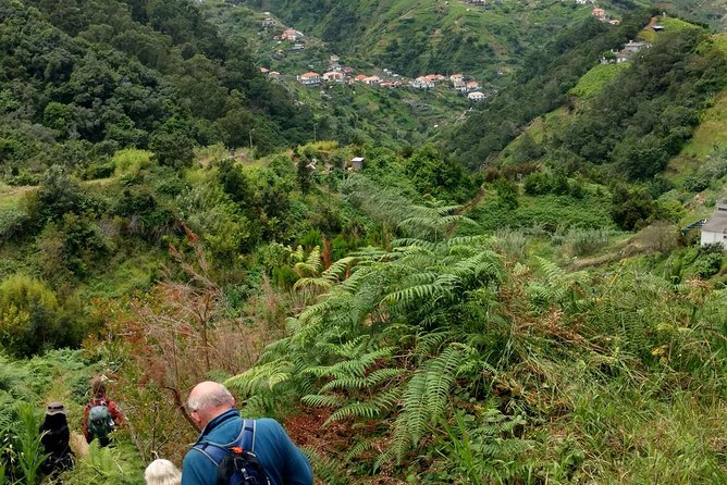 4x4 Safari Private Jeep, Full Day, Customizable Santana or Porto Moniz or other - What the $356.90 group price really means
