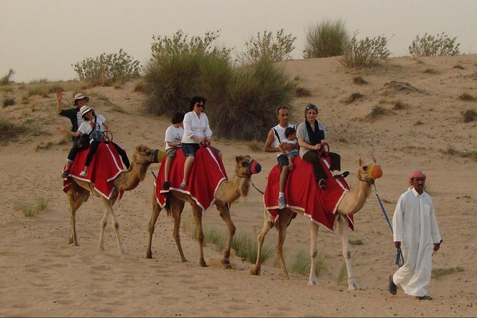 4x4 Self-Drive Quad Bike Safari with Camel Riding - Camel riding: an appealing extra with unclear details