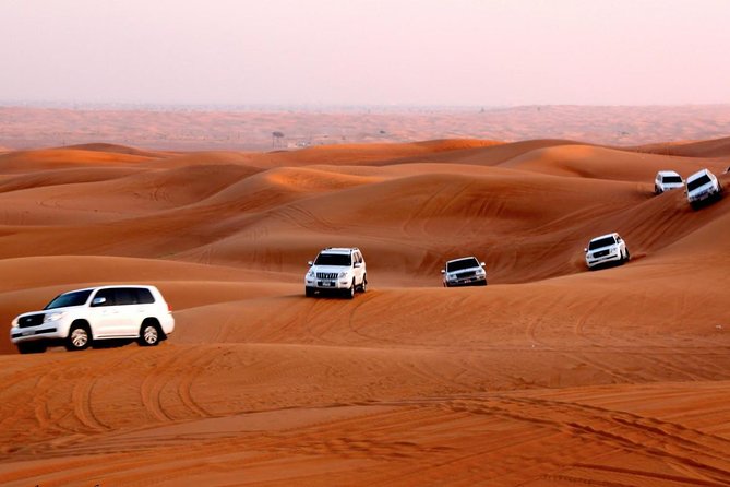 4x4 Self-Drive Quad Bike Safari with Camel Riding - Who will enjoy this most?