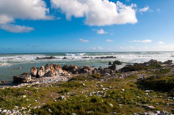 5 Day Cape to Addo Safari - Garden Route Small Group Tour - Key points before you book