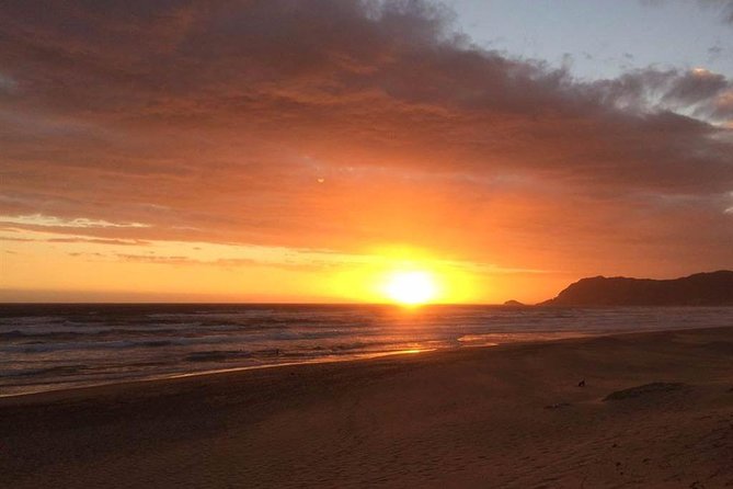 5 Day Cape to Addo Safari - Garden Route Small Group Tour - Day three: primates, bungee jumping, and Tsitsikamma