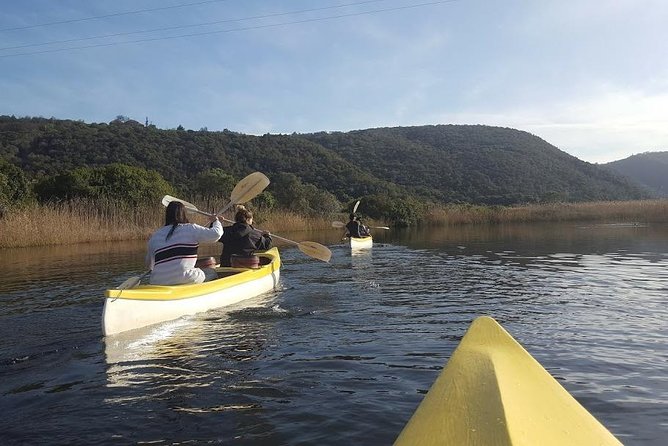 5 Day Cape to Addo Safari - Garden Route Small Group Tour - Day four: Jeffreys Bay and Addo’s elephants