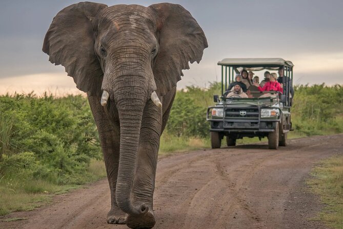 5 Day Garden Route and Addo Safari - Best of South Africa Small Group Tour - Day 1: Route 62 and Oudtshoorn