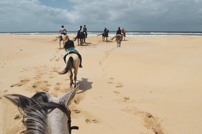 5 Day Garden Route and Addo Safari - Best of South Africa Small Group Tour - Guides make or break this itinerary