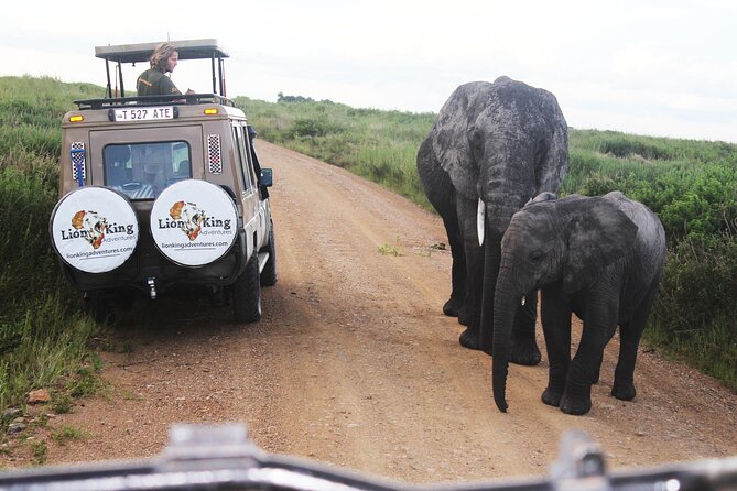 5-Day Highlights mid-Range Crater, Serengeti, Tarangire - Why this five-day route works