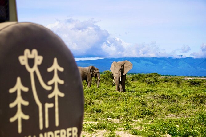 5-Day Mid-Range Safari in Tanzania - Day 3: Ngorongoro Crater and the wider conservation area