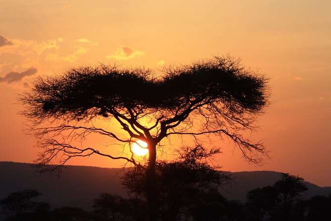 5-Day private Camping Safari Tour in Tanzania - Camping, food, and the people who shape the trip