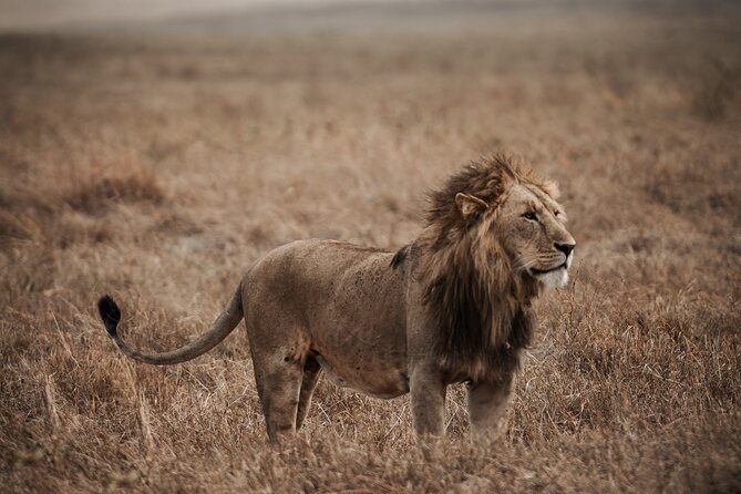 5 Day Tanzania Safari - What this five-day route does well