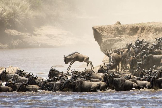 5 Days 4 Nights Tarangire, Serengeti , Ngorongoro & Manyara Wildlife Safari - Why this five-day route works