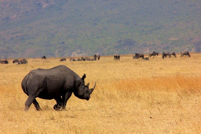 5 Days 4 Nights Tarangire, Serengeti , Ngorongoro & Manyara Wildlife Safari - Day four: wildlife inside Ngorongoro Crater