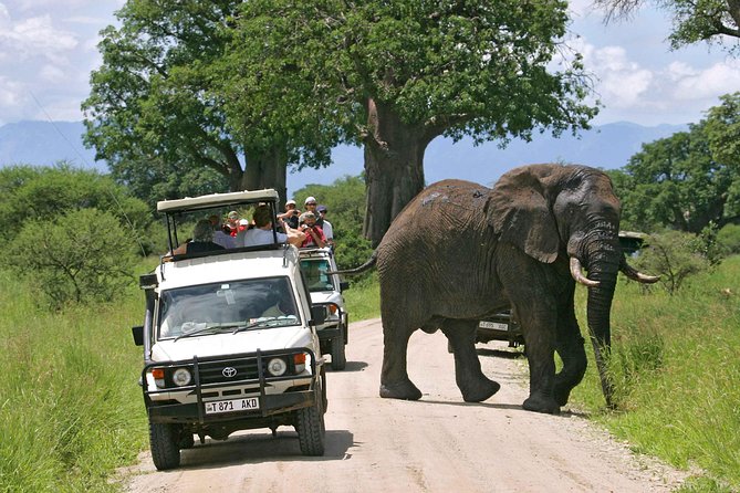 5 Days 4 Nights Tarangire, Serengeti , Ngorongoro & Manyara Wildlife Safari - Guides, vehicles, and the private format