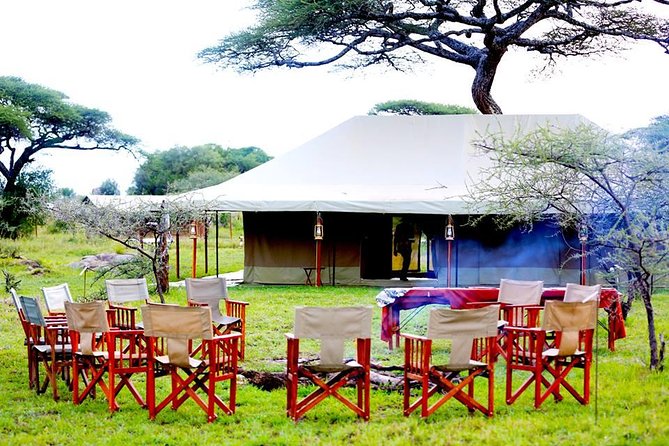 5 Days 4 Nights Tarangire, Serengeti , Ngorongoro & Manyara Wildlife Safari - Food, accommodation, and comfort