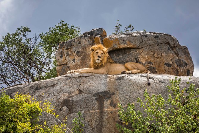5 Days Budget Private Safari, Tanzania - Why this four-park route works