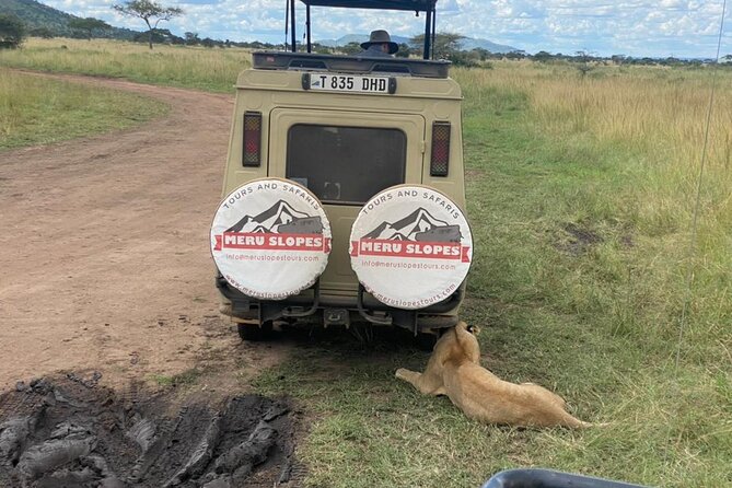 5 Days Camping Tarangire, Serengeti & Ngorongoro crater & Visiting Maasai - Why this five-day route works