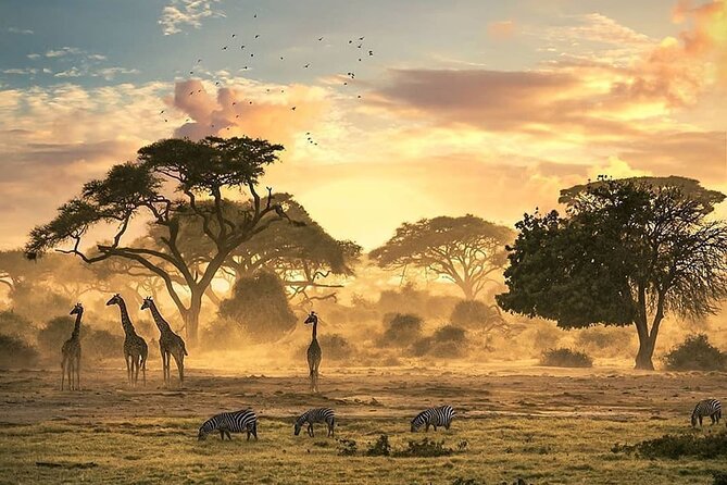5 Days Camping Tarangire, Serengeti & Ngorongoro crater & Visiting Maasai - Camping, food, and comfort on the road