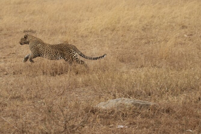 5 Days Group Camping Safari - What the $1,100 price really covers