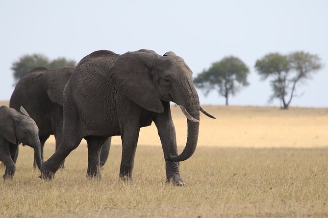 5 Days Group Camping Safari - Food, camping, and the pace of the days