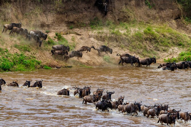 5 Days Mid-Range Group Safari with Accommodation - Day 1: Tarangire’s elephants and ancient baobabs