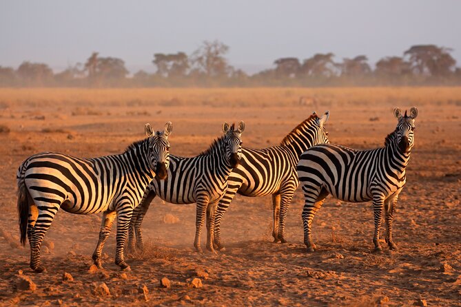 5 Days Mid-Range Group Safari with Accommodation - Day 3: The long road into the Serengeti