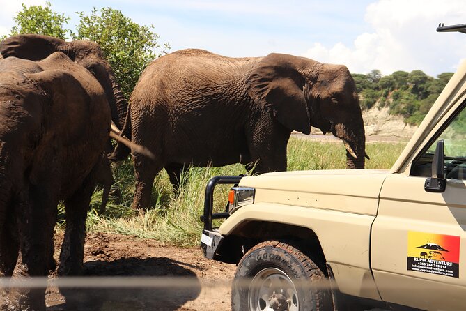 5 Days Private Safari- Tarangire, Serengeti, Ngorongoro & Manyara - Why this route works in only five days