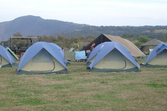 5 Days Private Safari- Tarangire, Serengeti, Ngorongoro & Manyara - Day 4: Five hours on the Ngorongoro floor