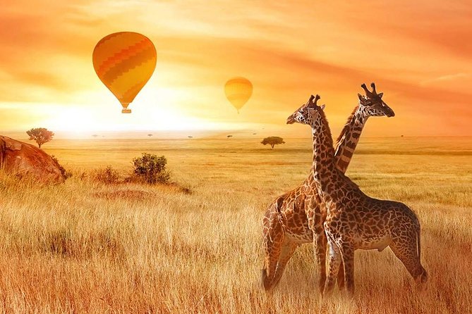 5 Days Private Safari- Tarangire, Serengeti, Ngorongoro & Manyara - Day 2: Crossing toward Serengeti