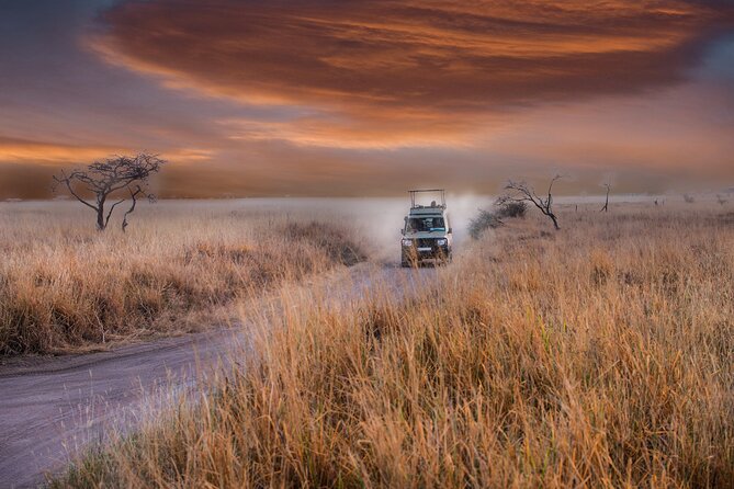5 days safari, hiking & culture (Serengeti & kilimanjaro) - Guides, organization, and the human side of the trip