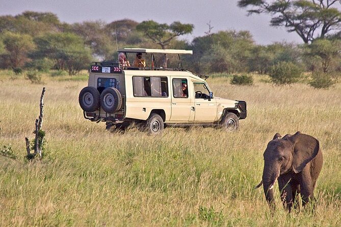 5 Days Safari in Tanzania | Camping and Lodge Safaris - From Arusha to Tarangire’s elephant country
