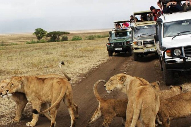 5 Days Safari in Tanzania | Camping and Lodge Safaris - The guides and the small-group setup
