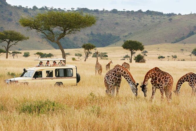 5 Days Safari in Tanzania | Camping and Lodge Safaris - The long road into the Serengeti