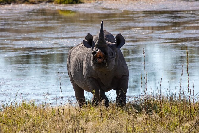 5 Days Safari Northern Circuit of Tanzania - Serengeti: Open Plains and the Search for Big Cats