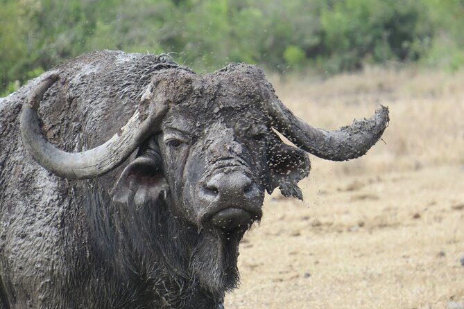 5 Days Safari Northern Circuit of Tanzania - Arrival in Arusha: A Useful First Night