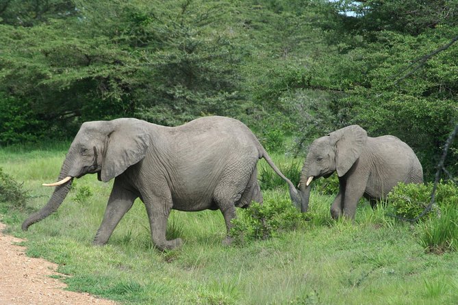 5 Days Safari to Selous & Mikumi - Why southern Tanzania makes this safari different