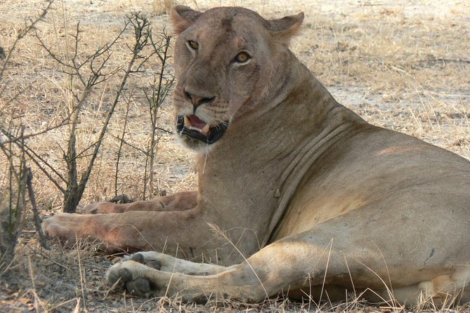 5 Days Safari to Selous & Mikumi - Day one: five hours from Dar es Salaam to the Selous waterways