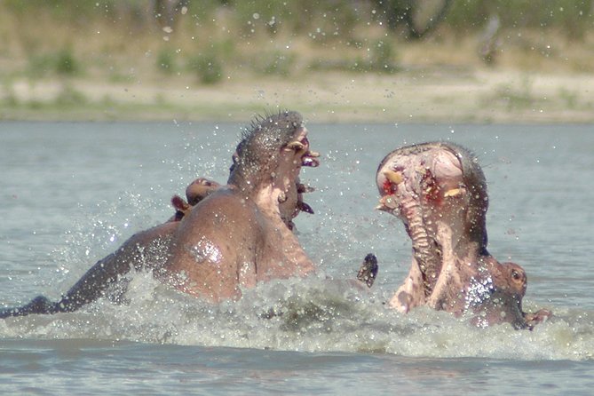 5 Days Safari to Selous & Mikumi - What the $1,999 price includes, and what it does not