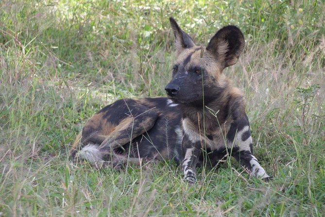 5 Days Safari to Selous & Mikumi - Who should book this southern Tanzania route