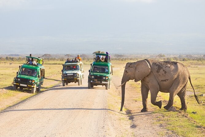 5 Days Serengeti Camping Safari - Day 2: The long road into the Serengeti