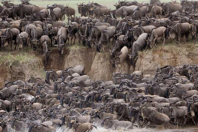 5 Days Serengeti Camping Safari - Days 2 and 3: Two chances to find the Serengeti