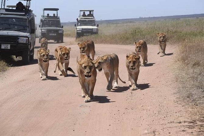5 days serengeti, ngorongoro, tarangire & manyara lodge tour - Key points to know before booking