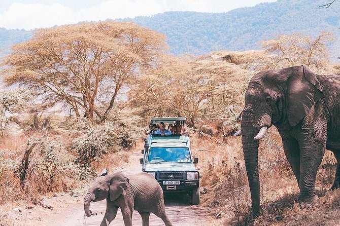 5 days serengeti, ngorongoro, tarangire & manyara lodge tour - Four parks, five days, and a lot of ground to cover