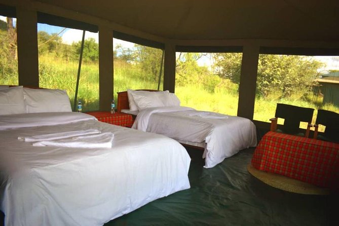 5 days serengeti, ngorongoro, tarangire & manyara lodge tour - Manyara rounds out the circuit