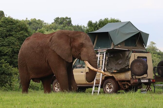 5 Days Tanzania Joining Safari with Pick Up Included Shared Tour - Day 1: Baobabs and elephants in Tarangire