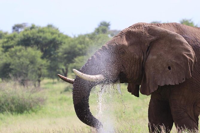 5 Days Tanzania Joining Safari with Pick Up Included Shared Tour - Day 2: The long road into Serengeti
