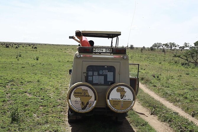 5 days Tanzania midrange lodge Private safari - Day 4: From the Serengeti to the Ngorongoro rim