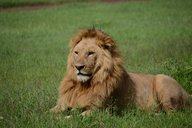 5 Days Tarangire ,Serengeti.Ngorongoro and Lake manyara - Key points to know before booking