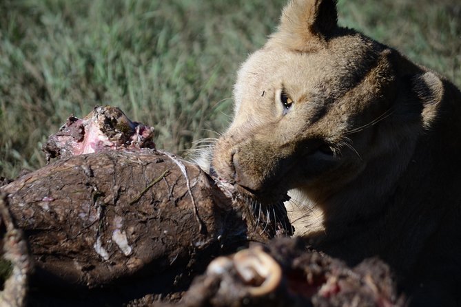 5 Days Tarangire ,Serengeti.Ngorongoro and Lake manyara - Why this safari offers good value at $1,270