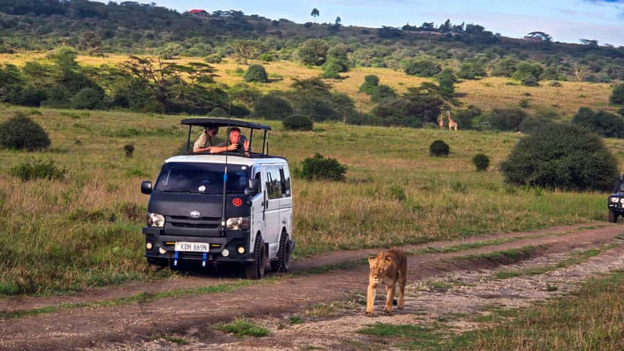 5-Hour Nairobi National Park 4x4 Safari with Free Pickup - From hotel pickup to the park gates